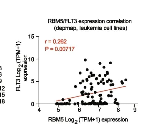 Open access visualization of Scatter Plot, Regression Plot, RBM5 mRNA, FLT3 mRNA, Leukemia Cell Lines