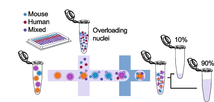 Open access visualization of Workflow, Illustration, Scatter Plots, Unique Reads, Human Genome