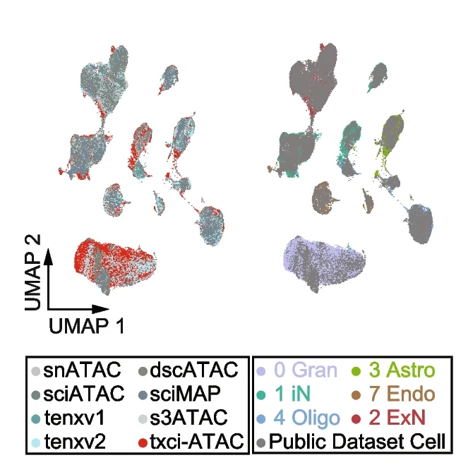 Open access visualization of UMAP, Scatter Plot, LIGER, UMAP Projection, Technology