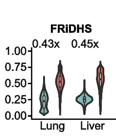 Open access visualization of Violin Plot, Quality Metrics, sciATAC-seq, txci-ATAC-seq, Mouse Lung Tissue