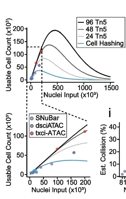 Open access visualization of Line Plot, Scatter Plot, Deconvolutable Cells, Nuclei Loading, Molecular Hashing