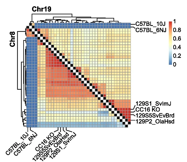 Open access visualization of Heatmap, Clustered, Jaccard Similarity, Hotspot SNVs, SNPs