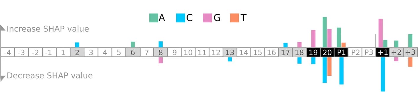 Open access visualization of Bar Plot, Sequence Features, SHAP Values, Guide Efficacy, Guide Sequence