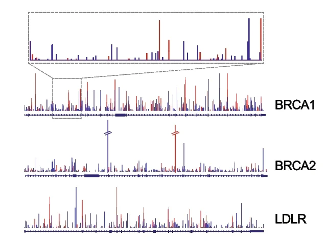 Open access visualization of Bar Plot, Splice Sites, MPRA, BRCA1, BRCA2