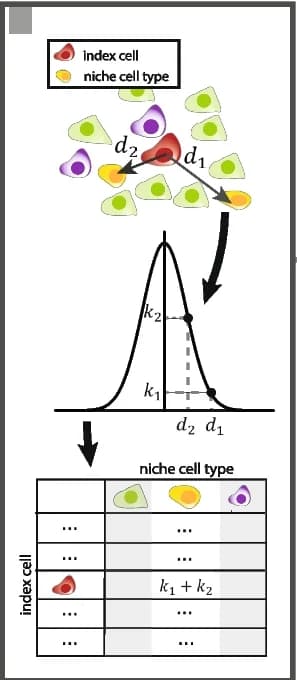 Open access visualization of Illustration, Line Plot, Table Image, Effective Niche, Cell Type