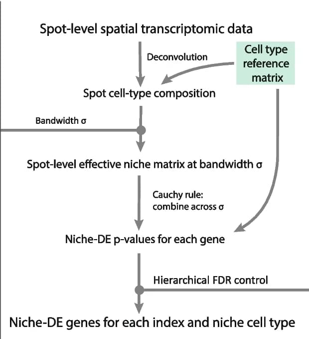 Open access visualization of Workflow, Flowchart, Niche-DE Pipeline, Cell Type Identification, Effective Niche