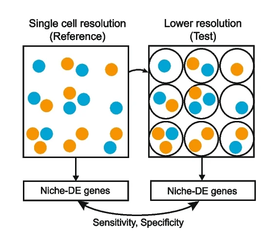 Open access visualization of Workflow, Illustration, Pseudo-Spot Data Simulation, Spot-Level Data, Single Cell Level Data