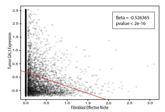 Open access visualization of Scatter Plot, Regression Plot, Tumor GAL3 Expression, Fibroblast Effective Niche, CODEX Data