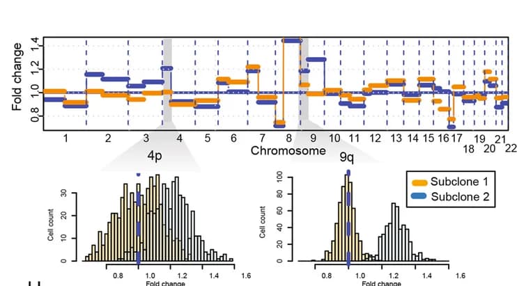 Open access visualization of Line Plot, Density Plot, Clonalscope, Tumor Subclones, Liver Sample