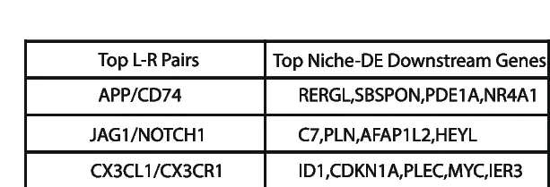 Open access visualization of Table Image, Ligand-Receptor Pairs, Fibroblasts, Proximal Tubular Cells, Niche-LR