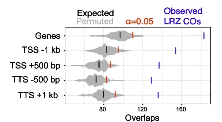Open access visualization of Violin Plot, Error Bars, LRZ Crossovers, Gene Features, Loci