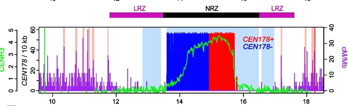 Open access visualization of Line Plot, Bar Plot, CEN178 Satellite Repeats, CENH3 Enrichment, GBS cM/Mb