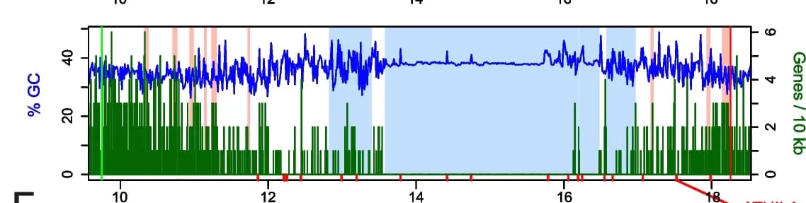 Open access visualization of Line Plot, Bar Plot, Gene Density, GC Content, ATHILA Retrotransposons