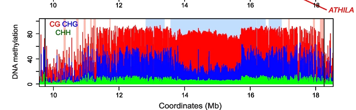 Open access visualization of Line Plot, Density Plot, DNA Methylation, CG Methylation, CHG Methylation