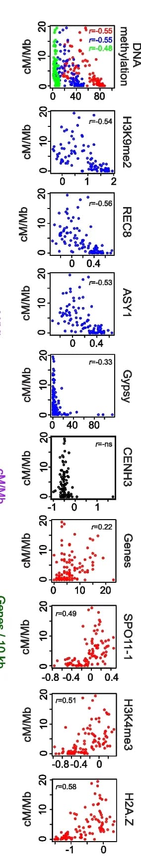 Open access visualization of Scatter Plot, Regression Plot, Centimorgan Per Megabase, DNA Methylation, H3K9me2