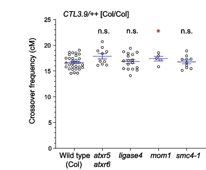 Open access visualization of Scatter Plot, Error Bars, Crossover Frequency, Wild Type, Mutants