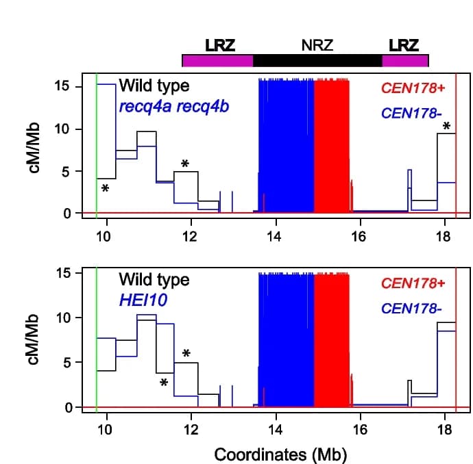 Open access visualization of Line Step, Crossover Frequency, Wild Type, recq4a recq4b, HEI10