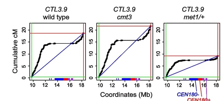 Open access visualization of Line Plot, Scatter Plot, Genetic Map, Genomic Coordinates, Satellite Repeats