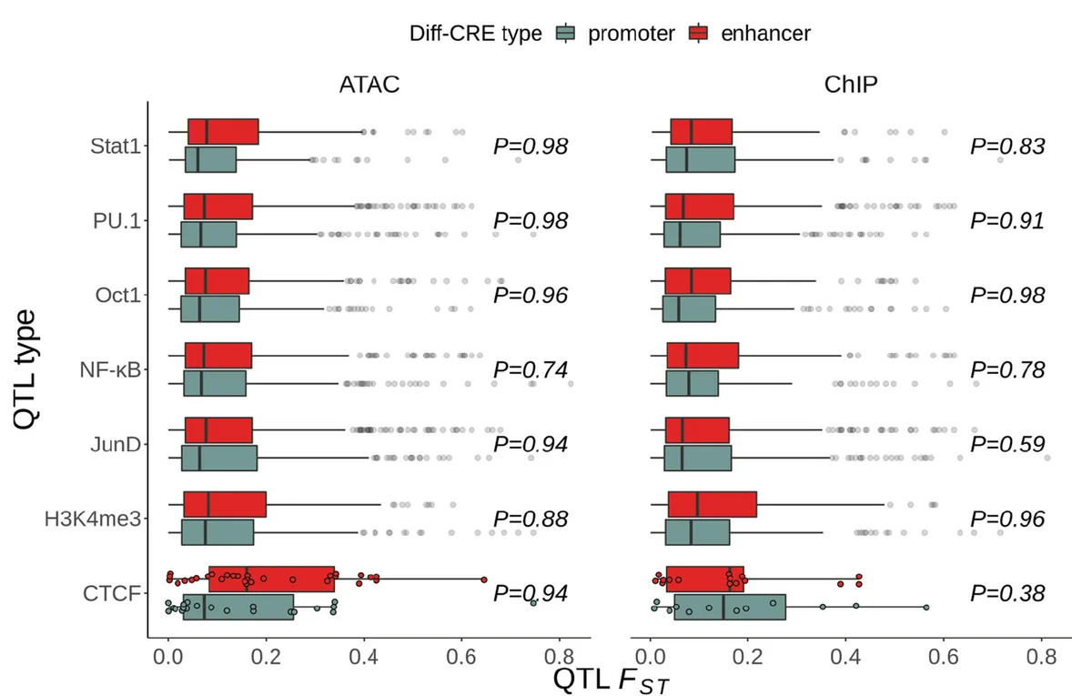 Open access visualization of Box Plot, Scatter Plot, TF bQTL, H3K4me3 QTL, CREs