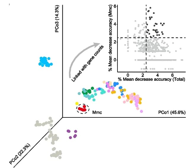 Open access visualization of 3D Plot, Scatter Plot, PCoA, Genomic Divergence, Genomes