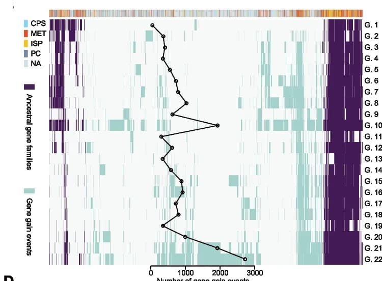 Open access visualization of Heatmap, Line Plot, Ancestral Gene, Gene Gain Events, Genus