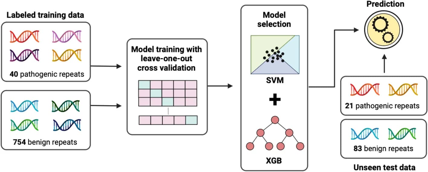 Open access visualization of Workflow, Flowchart, RExPRT, Pathogenic TRs, Benign TRs