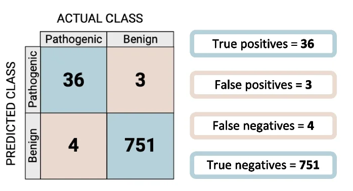 Open access visualization of Table Image, Confusion Matrix, True Positives, False Positives, False Negatives