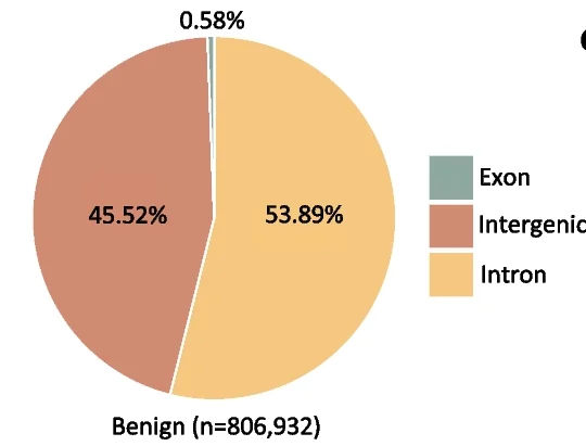 Open access visualization of Pie Chart, Reference Genome, Benign TRs, Exonic, Intronic
