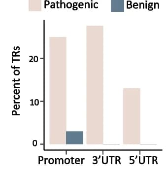 Open access visualization of Bar Plot, Clustered, Pathogenic TRs, Benign TRs, Promoters