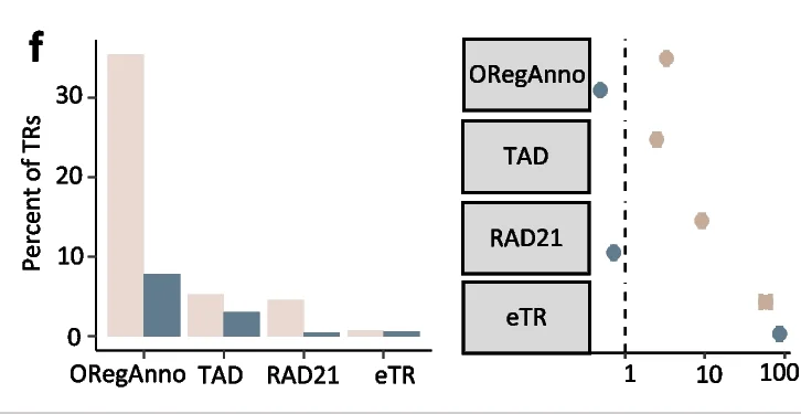 Open access visualization of Bar Plot, Scatter Plot, Clustered, Odds Ratios, Pathogenic TRs