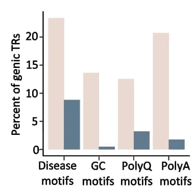 Open access visualization of Bar Plot, Clustered, Pathogenic TRs, Benign TRs, Repeat Expansion Disorder Disease Motifs