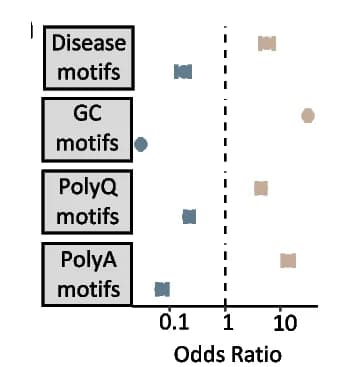 Open access visualization of Scatter Plot, Odds Ratios, Pathogenic TRs, Benign TRs, Repeat Expansion Disease Motifs
