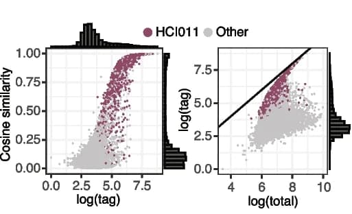 Open access visualization of Scatter Plot, Regression Plot, Density Plot, Cosine Similarity, Tag Count