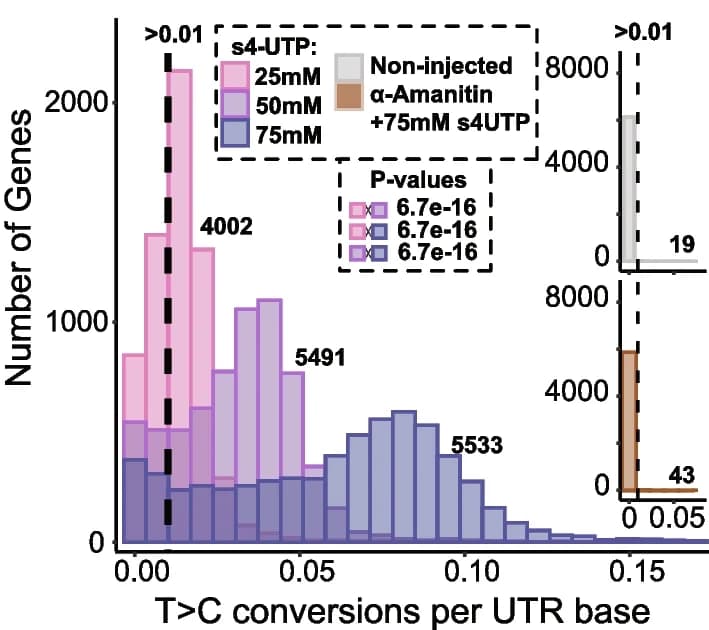 Open access visualization of Histogram, Expressed Genes, T>C Conversion Rates, False Positives, Kolmogorov-Smirnov Tests