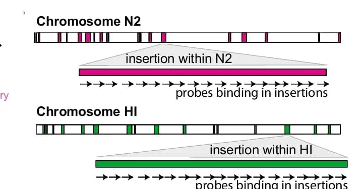 Open access visualization of Workflow, Probe Design, Strategy