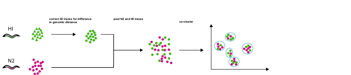 Open access visualization of Workflow, Scatter Plot, Co-clustering, Statistical Similarity, Chromosome
