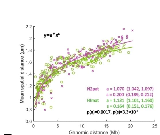Open access visualization of Scatter Plot, Regression Plot, Power-law Fits, Pairwise Distance, Data