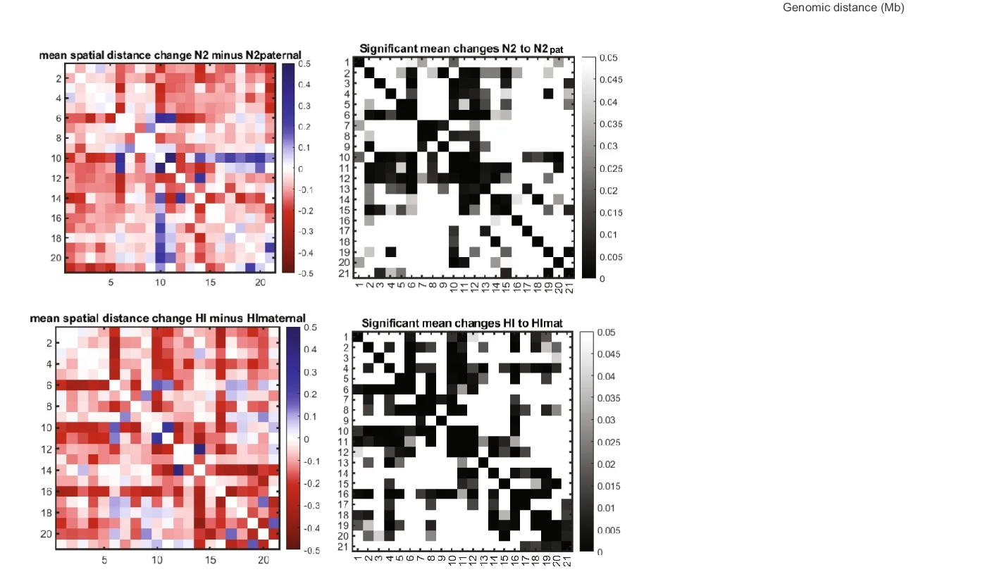 Open access visualization of Heatmap, Pairwise Distances, Homozygous, Chromosome