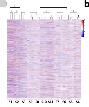 Open access visualization of Heatmap, Clustered, Proteome, Clustering Analysis, Replicates