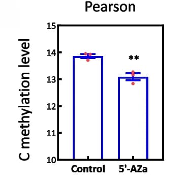 Open access visualization of Bar Plot, Error Bars, Bisulfite Sequencing, 5-Aza Treatment, Control