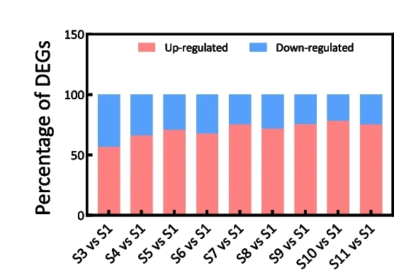 Open access visualization of Stacked Bar Plot, Upregulated Genes, Downregulated Genes, 5-Aza Treatment, Fruit Callus