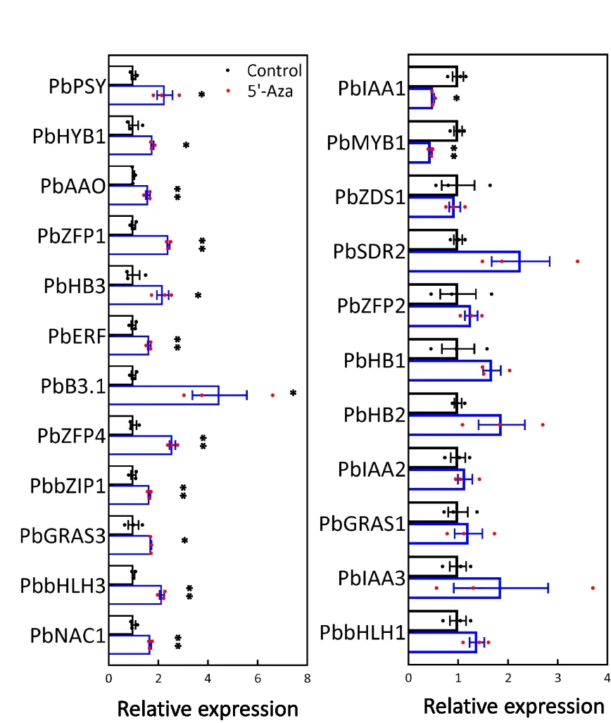 Open access visualization of Bar Plot, Error Bars, Gene Expression, ABA Biosynthetic Genes, Transcription Factors