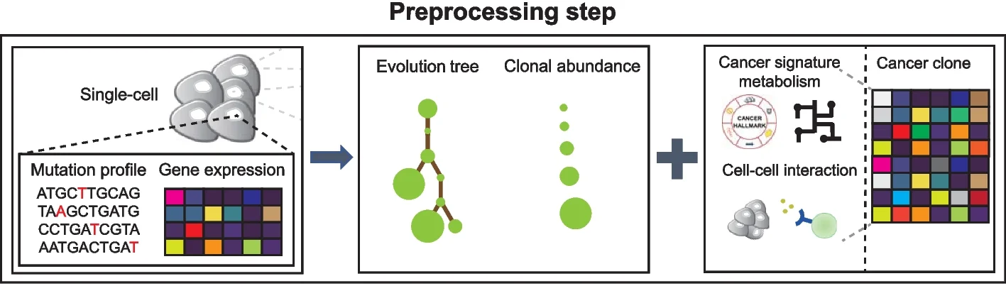 Open access visualization of Workflow, Illustration, Heatmap, Network, Scatter Plot