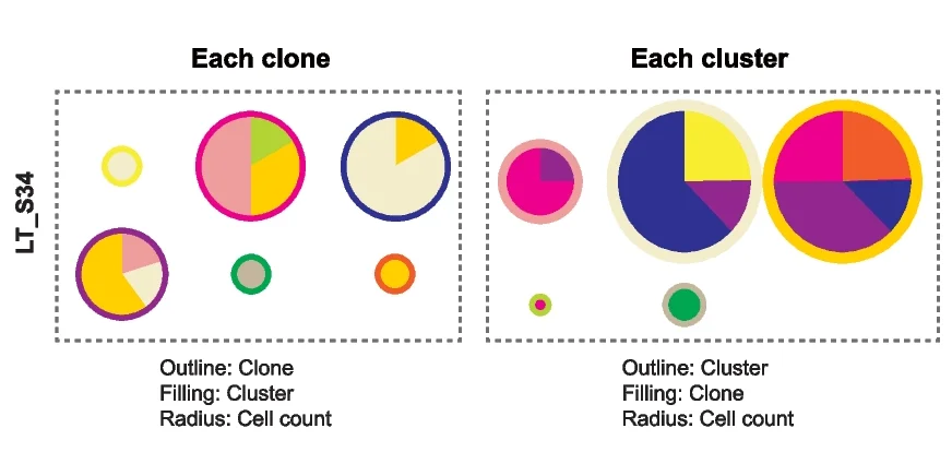 Open access visualization of Pie Chart, Bubble Plot, Cluster Heterogeneity, Clones, Cell Count
