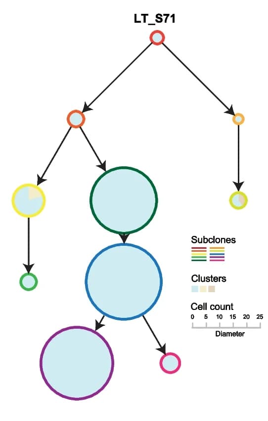 Open access visualization of Pathway, Network, Evolution Tree, Clones, Cell Count