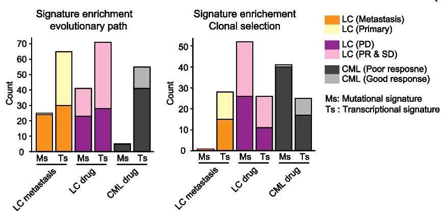 Open access visualization of Stacked Bar Plot, Significant Features, Mutational Analysis, Transcriptional Analysis, Metastasis