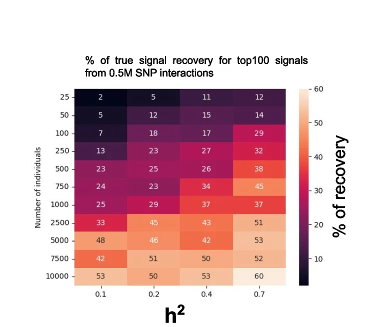 Open access visualization of Heatmap, Heatmaps, SNP Interactions, Signal Recovery, Noise