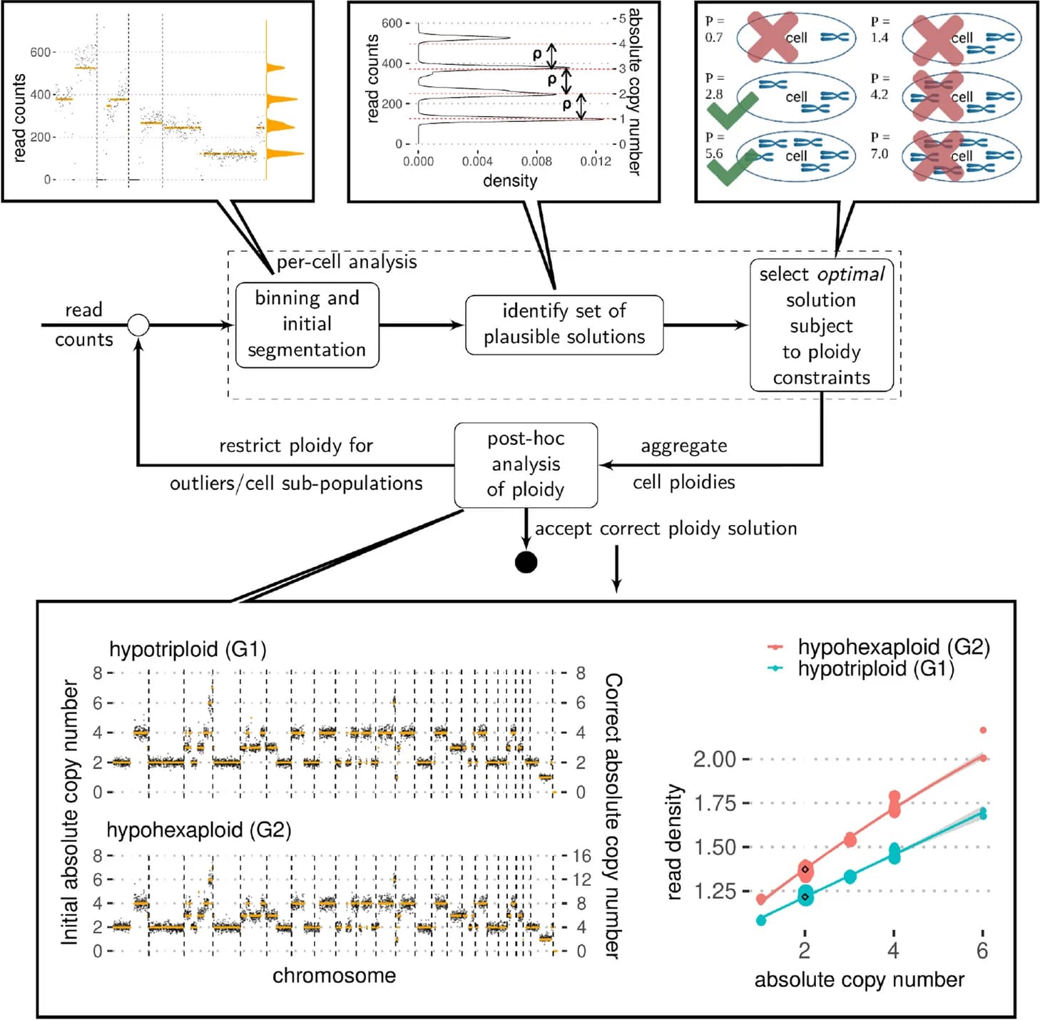Open access visualization of Workflow, Line Plot, Scatter Plot, Histogram, Illustration
