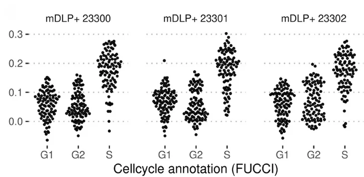 Open access visualization of Scatter Plot, Cycling Activity, PEO1 FUCCI Cells, Cell Cycle Stages, FUCCI Marker System