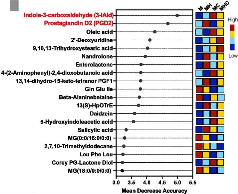 Open access visualization of Scatter Plot, Heatmap, Metabolites, Prediction Accuracy, Random Forest Analysis